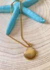 Shell Water Resistant Necklace-Shell Water Resistant Necklace-Cali Moon Boutique, Plainville Connecticut